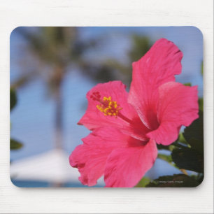 Pink hibiscus flower mouse pad