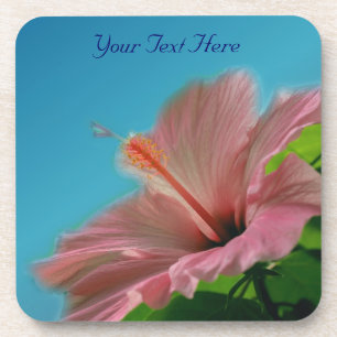 Pink Hibiscus Flower Nature Coaster Set