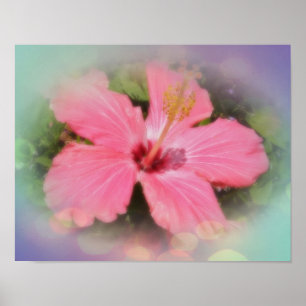 Pink Hibiscus Flower Poster
