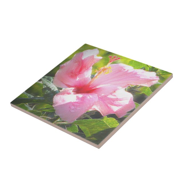 Pink Hibiscus Flower Tile (Side)