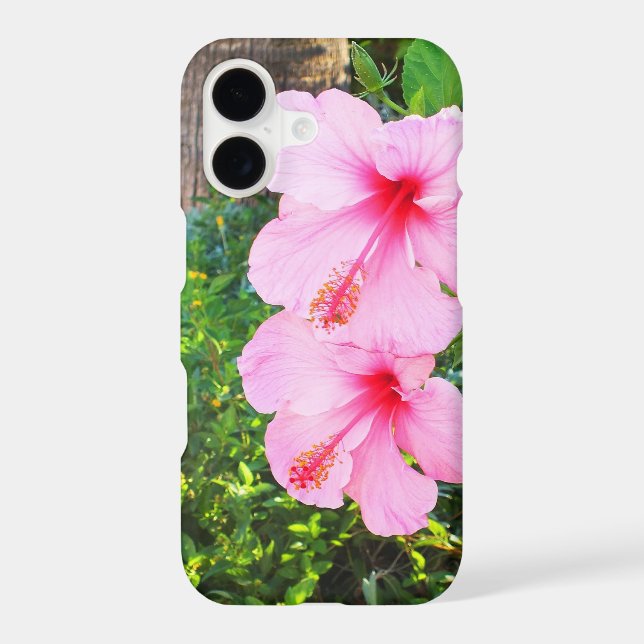 Pink Hibiscus flowers (Back)