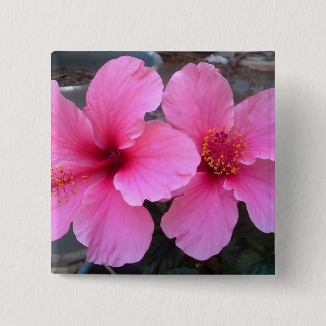 Pink Hibiscus Flowers 2 Inch Square Button (Front)