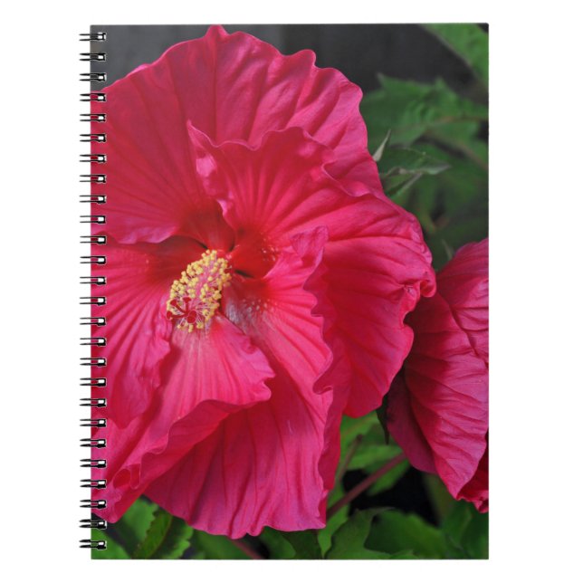 Pink hibiscus flowers notebook (Front)