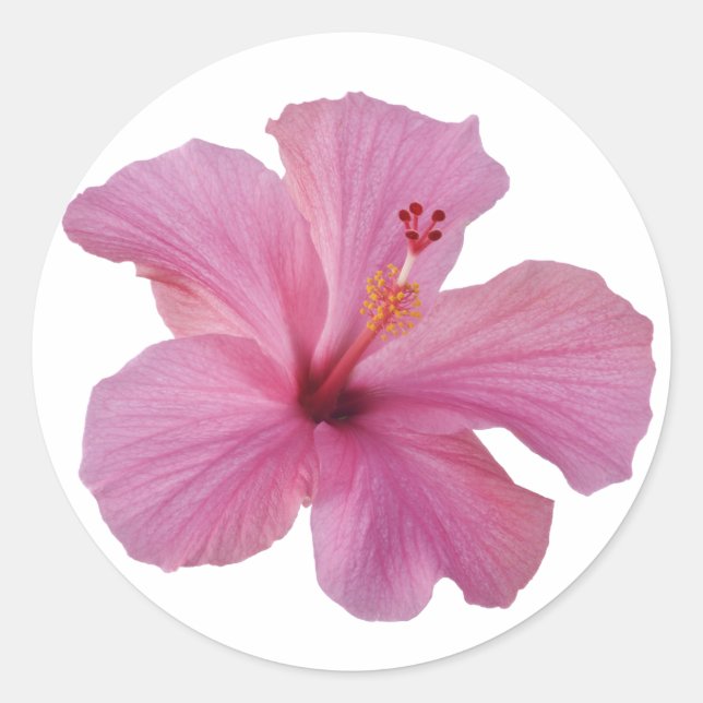 Pink Hibiscus Hawaiian Flower Customized Template Classic Round Sticker (Front)
