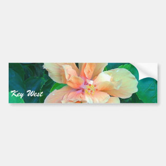 Pink Hibiscus, Key West Bumper Sticker