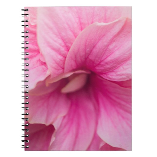 Pink Hibiscus Notebook (Front)