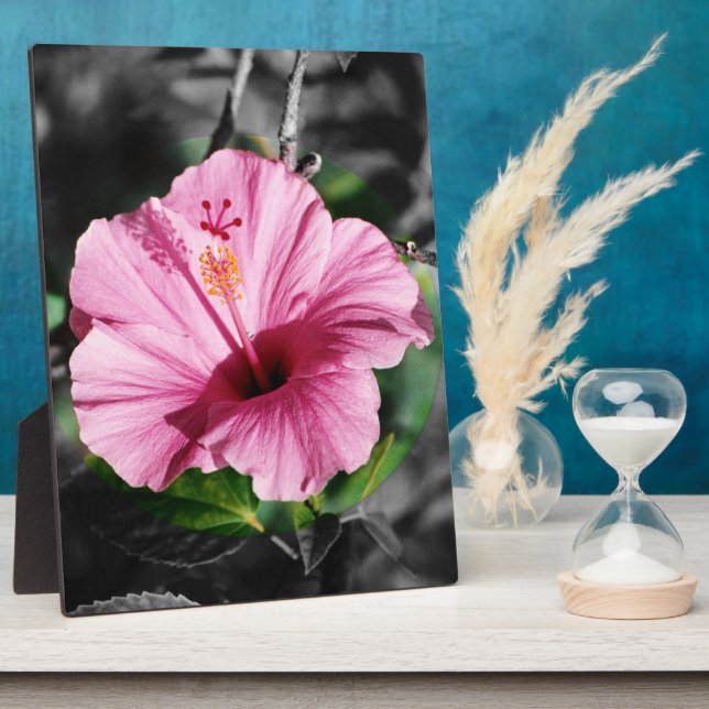 Pink Hibiscus Photo Plaque (Side)