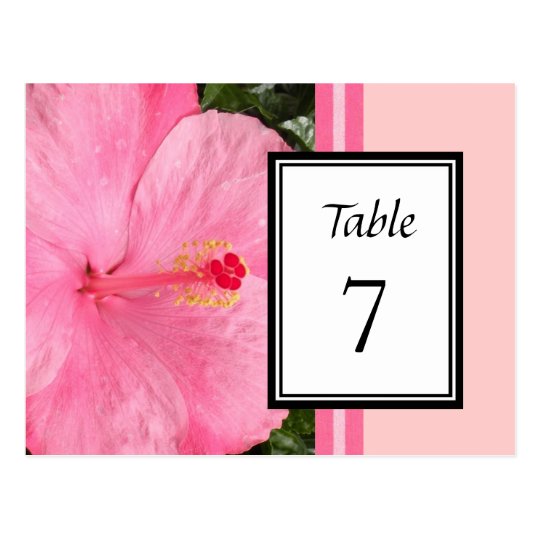 Pink Hibiscus Table Number Card
