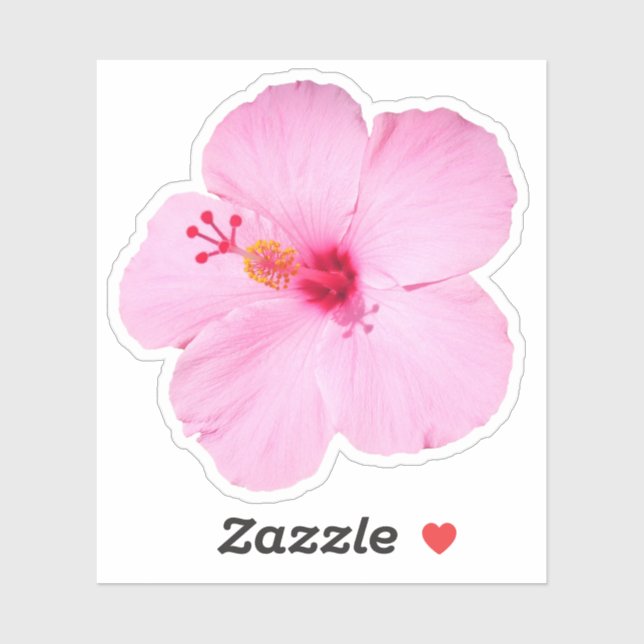 Pink Hibiscus Tropical Flower (Sheet)