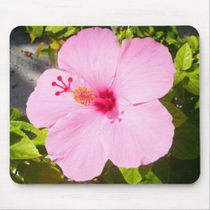 Pink Hibiscus Tropical Flower Mouse Pad