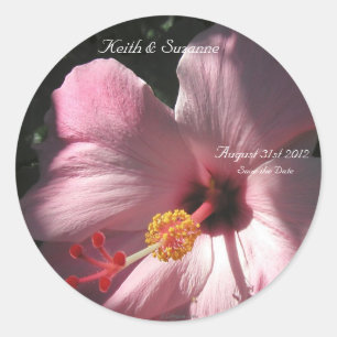 Pink Hibiscus Tropical Flowers Envelope Seals