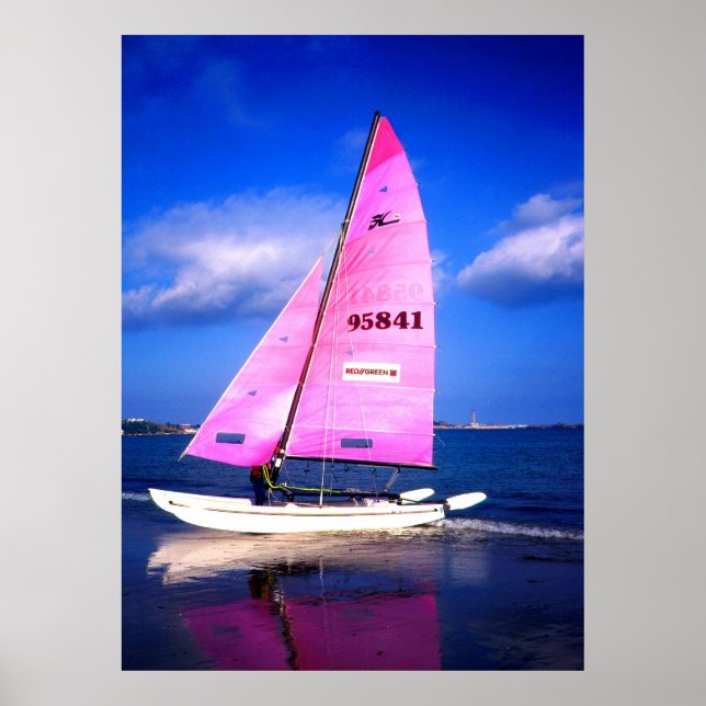 Pink Hobie Poster (Front)