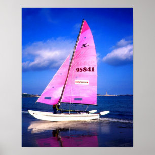 Pink Hobie Poster