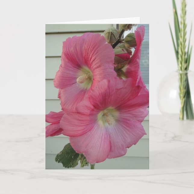 Pink  Hollyhock, Birthday Beautiful Lady Card (Front)