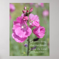 Pink Hollyhock Praise
