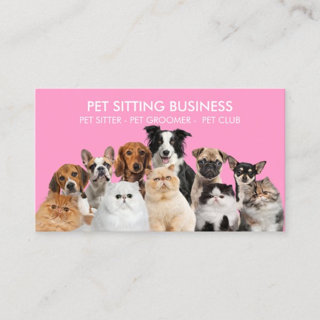 Pink Home Pet Dogs Cats Business Card (Front)