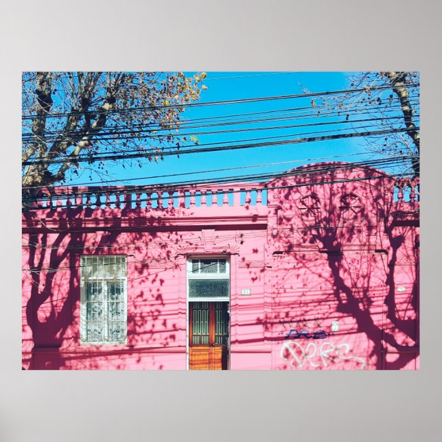 PINK HOUSE POSTER (Front)