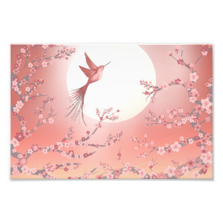 Pink hummingbird moonlight Calm art poster 