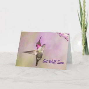 Pink Hummingbird Posing in Flight Get Well Soon Card
