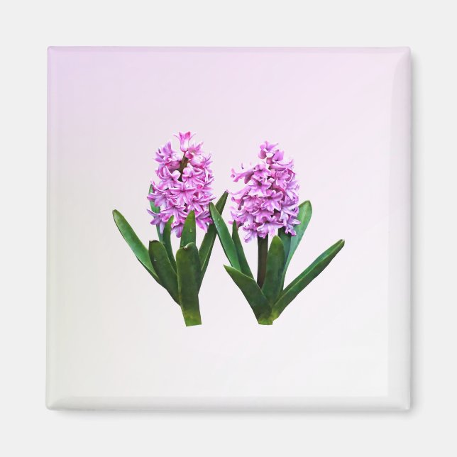 Pink Hyacinth Duo Magnet (Front)