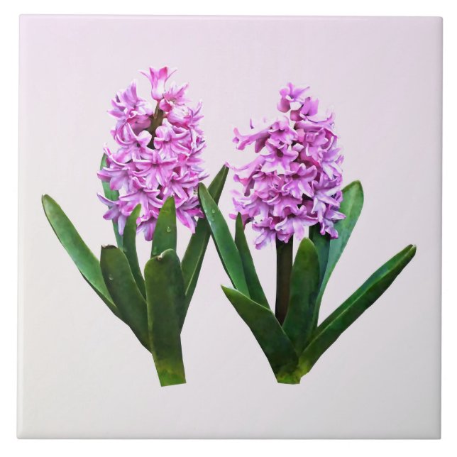 Pink Hyacinth Duo Tile (Front)