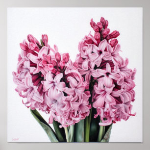 Pink Hyacinth Flower Art Imprimer Poster