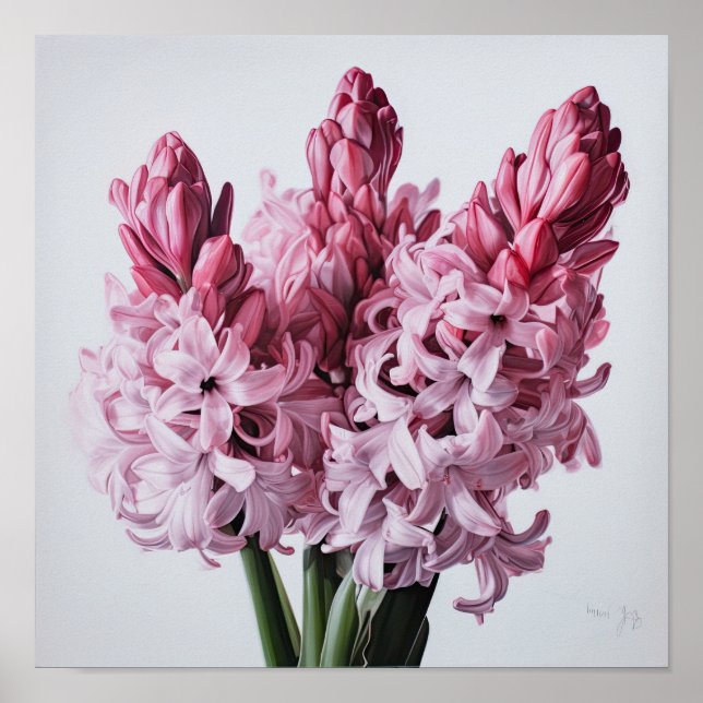 Pink Hyacinth Flower Art Print Poster (Front)