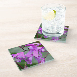Pink Hyacinth Orchid Floral Glass Coaster
