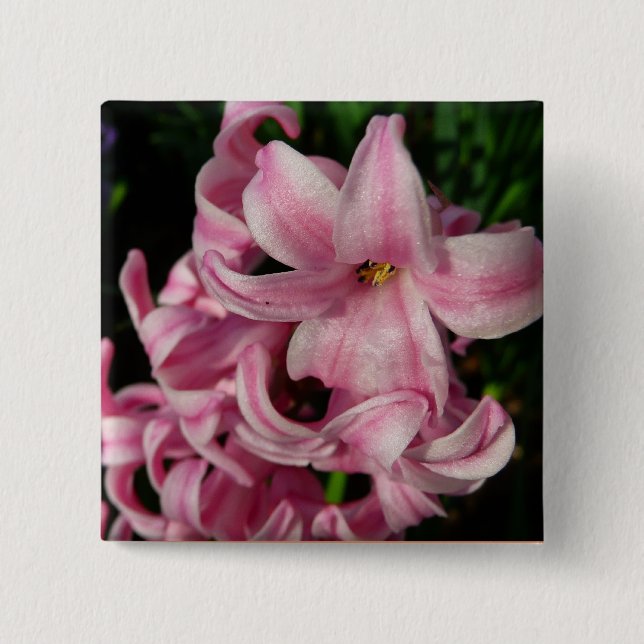 Pink Hyacinth Spring Floral 2 Inch Square Button (Front)