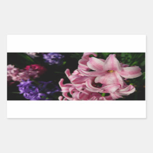 Pink Hyacinth Spring Floral Sticker