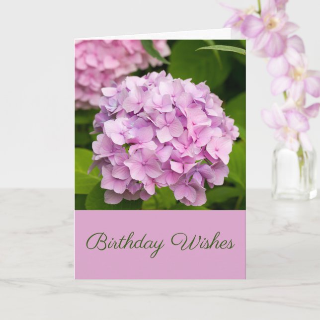Pink Hydrangea Birthday Wishes Greetings Card (Orchid)