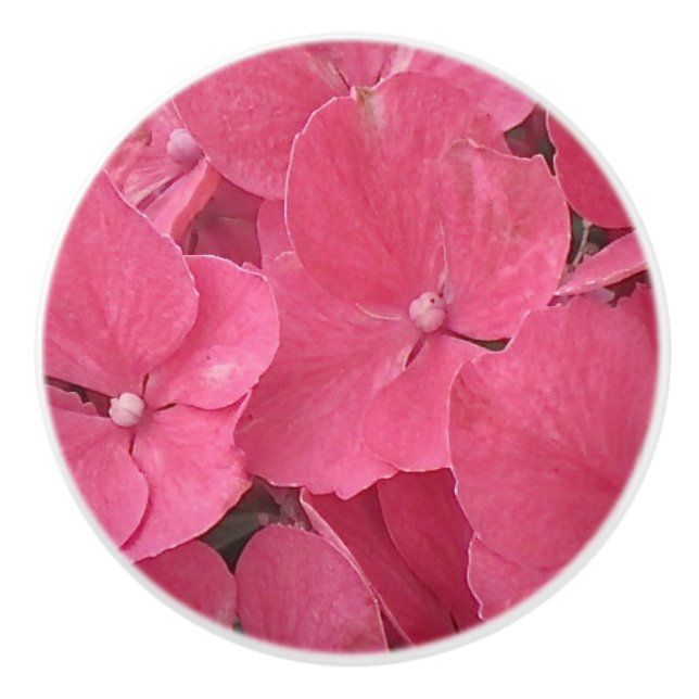Pink Hydrangea Blossoms Ceramic Knob (Front)