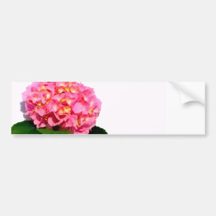 Pink Hydrangea Bumper Sticker