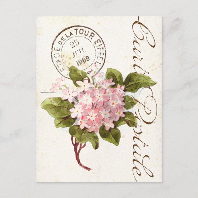 Pink Hydrangea Carte Postale Flower Vintage French Postcard (Front)