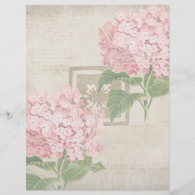 Pink Hydrangea Clusters II Letterhead (Front)