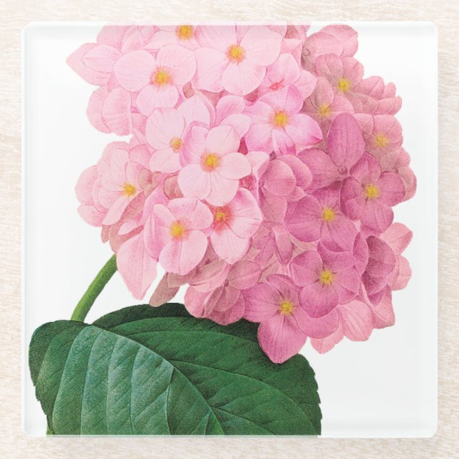 Pink Hydrangea Flower Glass Coaster (Front)