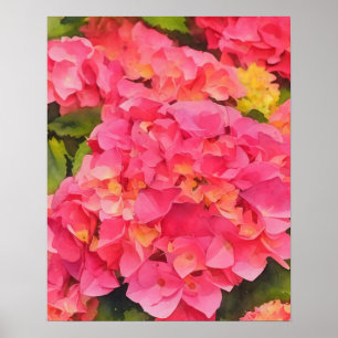 Pink Hydrangea Flowers Floral Watercolor Style Art Poster