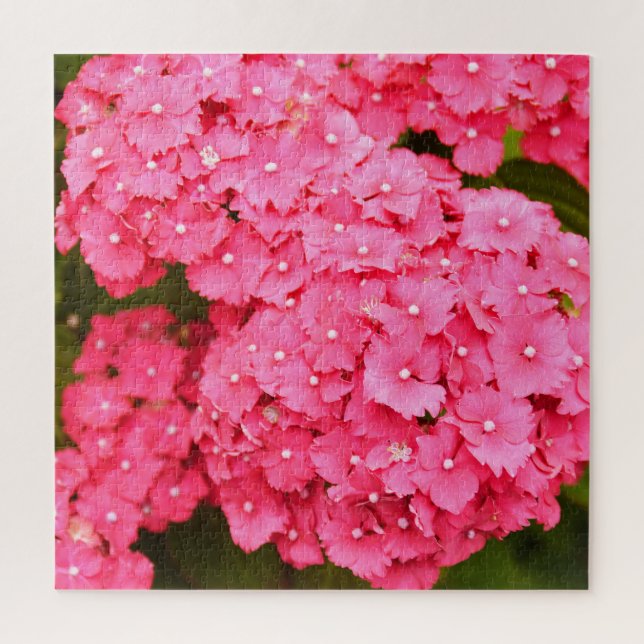 Pink hydrangea flowers jigsaw puzzle (Vertical)