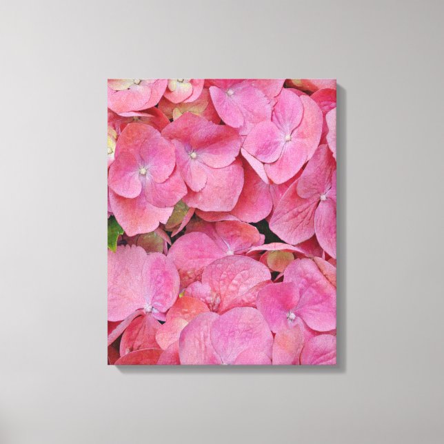 Pink Hydrangea Flowers Photographic Art Canvas Print (Front)