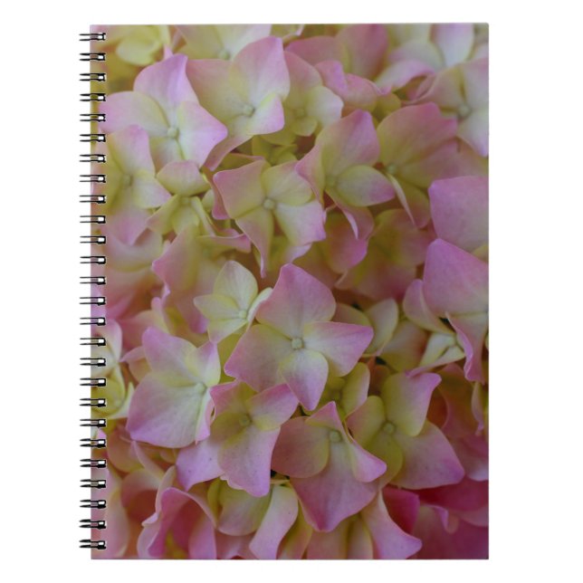 Pink Hydrangea Notebook (Front)