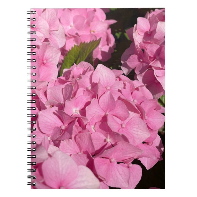  Pink Hydrangea Notebook (Front)