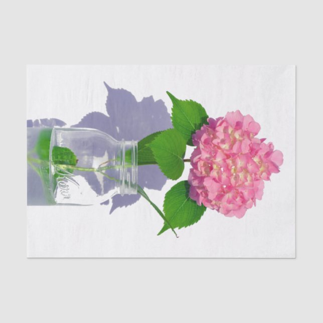 Pink hydrangea pink floral pink flower tissue paper (Front)