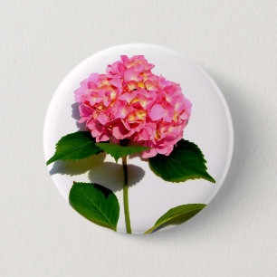 Pink hydrangea pink flower pink floral 2 inch round button