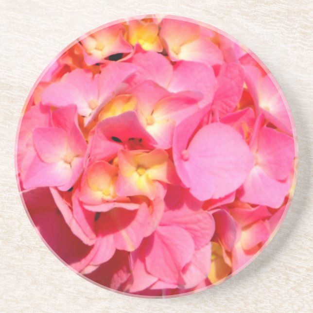 Pink hydrangea pink flower pink floral coaster (Front)