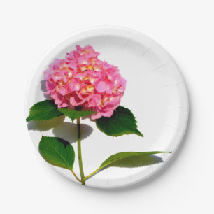 Pink Hydrangea pink flowers pink roses Paper Plate