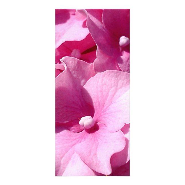 Pink Hydrangea rackcard Rack Card (Front)