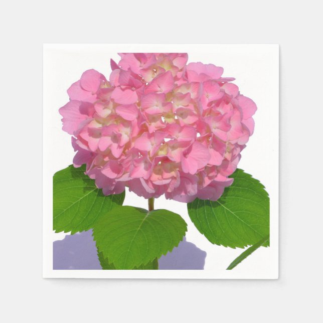 Pink Hydrangea, romantic country floral Napkin (Front)