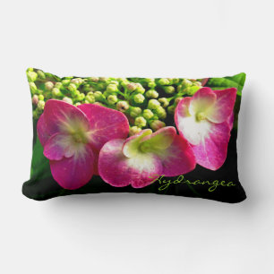 Pink Hydrangea Triplets Lumbar Pillow
