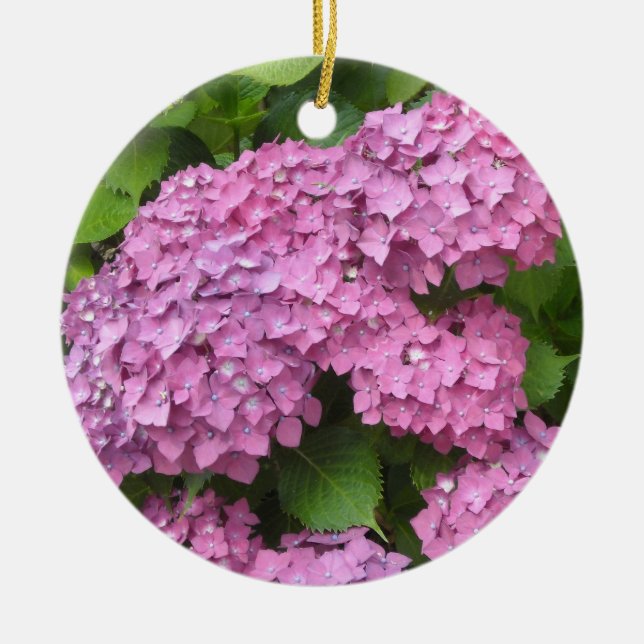Pink Hydrangeas Ceramic Ornament (Front)
