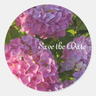 Pink Hydrangeas Classic Round Sticker